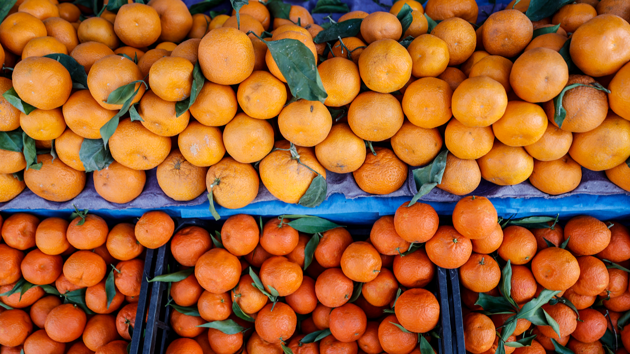 Türkiye'nin 1,46 milyar dolarlık 2024 narenciye ihracatında 3 il dikkat çekti