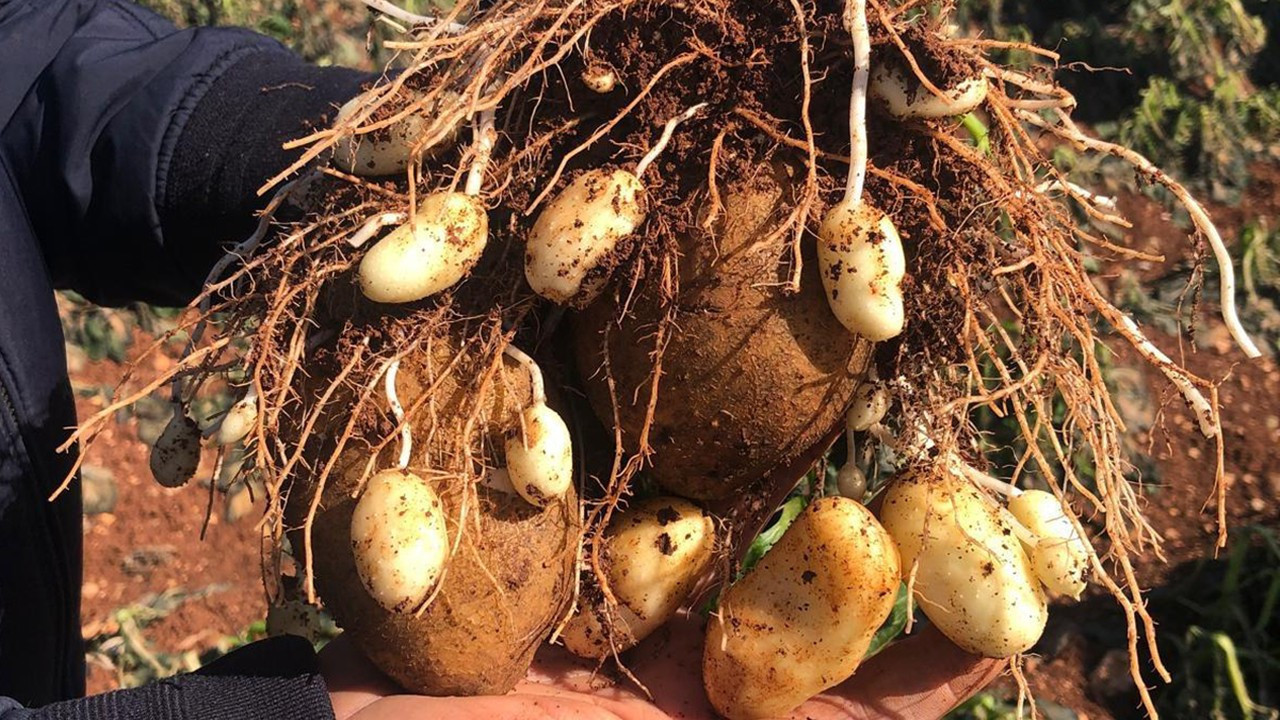 Adana, Hatay ve Mersin afet bölgesi ilan edilmeli