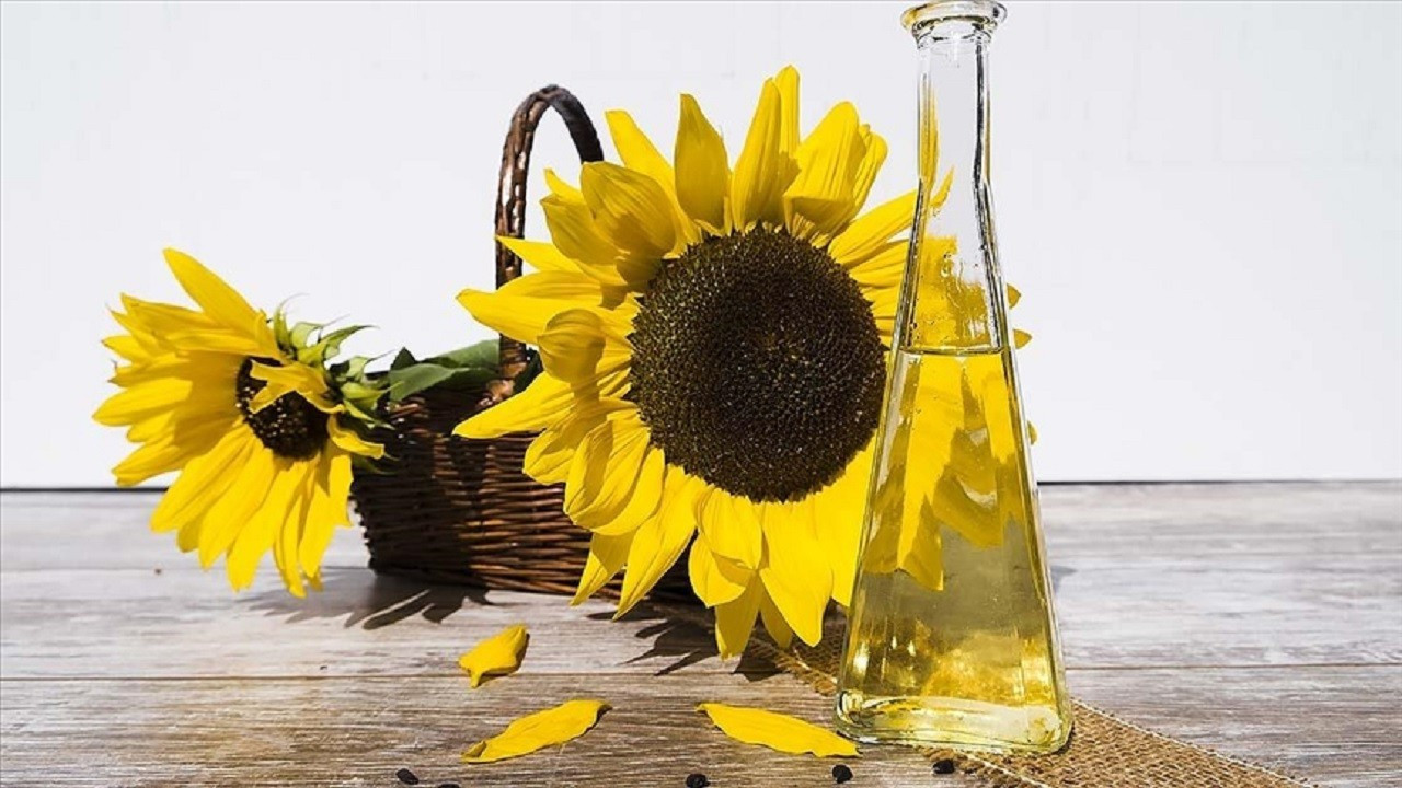 Küresel ayçiçeği yağı talebini Türk ihracatçılar karşılıyor