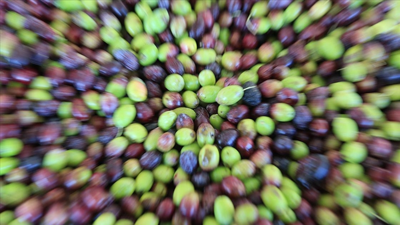 Türkiye, AB'den bir coğrafi işaret tescili daha aldı