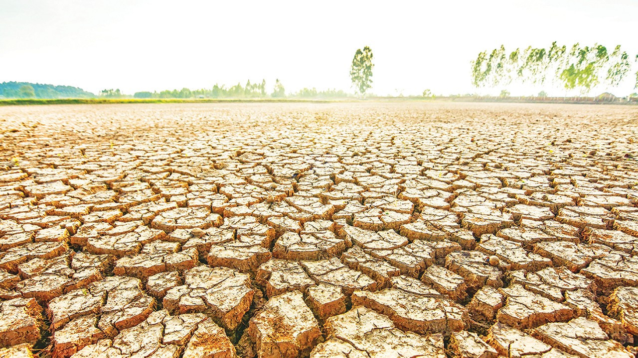“Kuraklık alarm veriyor çözüm sulama yöntemlerinde”