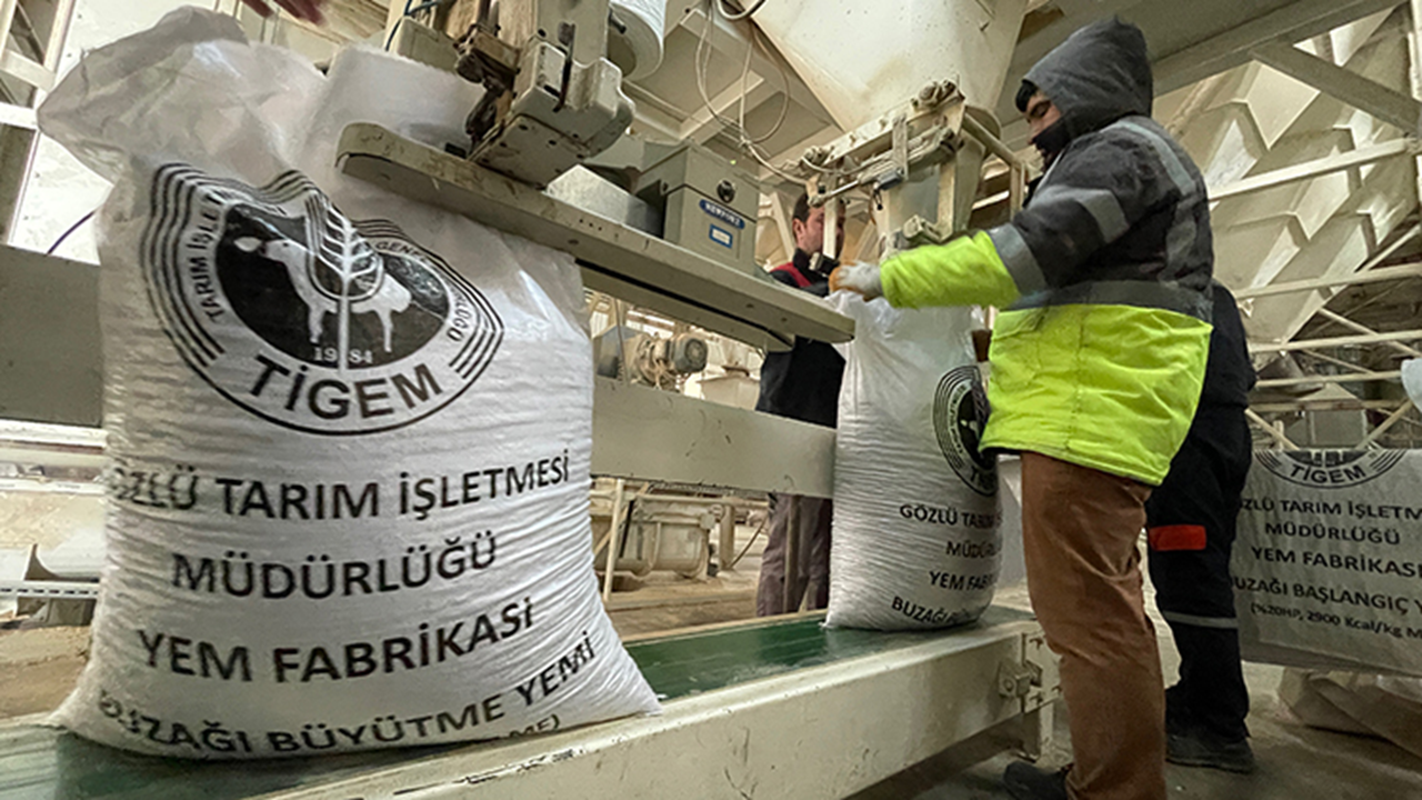 TİGEM'den 4 ay süreli işçi alımı duyurusu