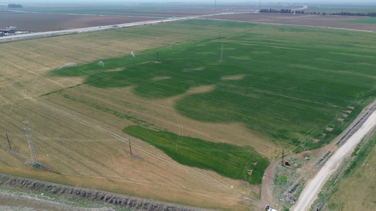 Amik Ovası'nda endişe yaratan görüntü... Bilim adamı uyardı!