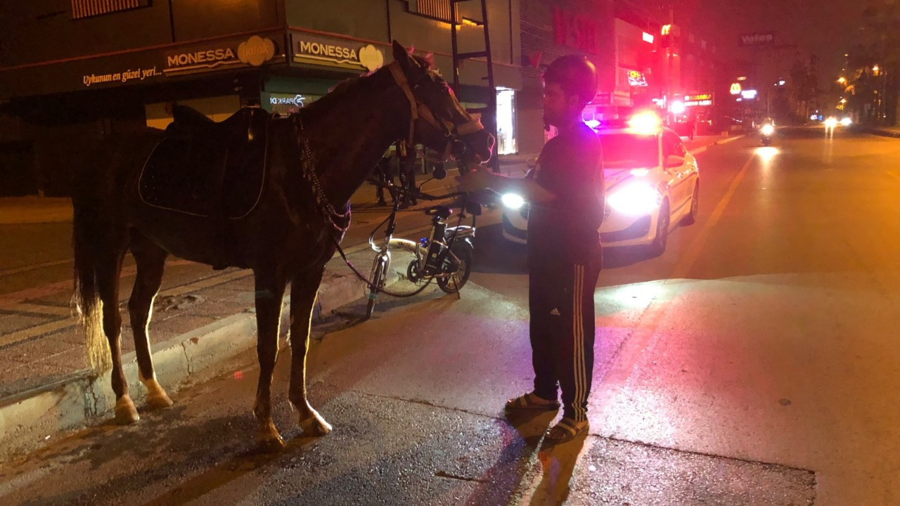 Mersin’de ilginç olay: Atıyla markete giden gence alkollü araç kullanmaktan ceza