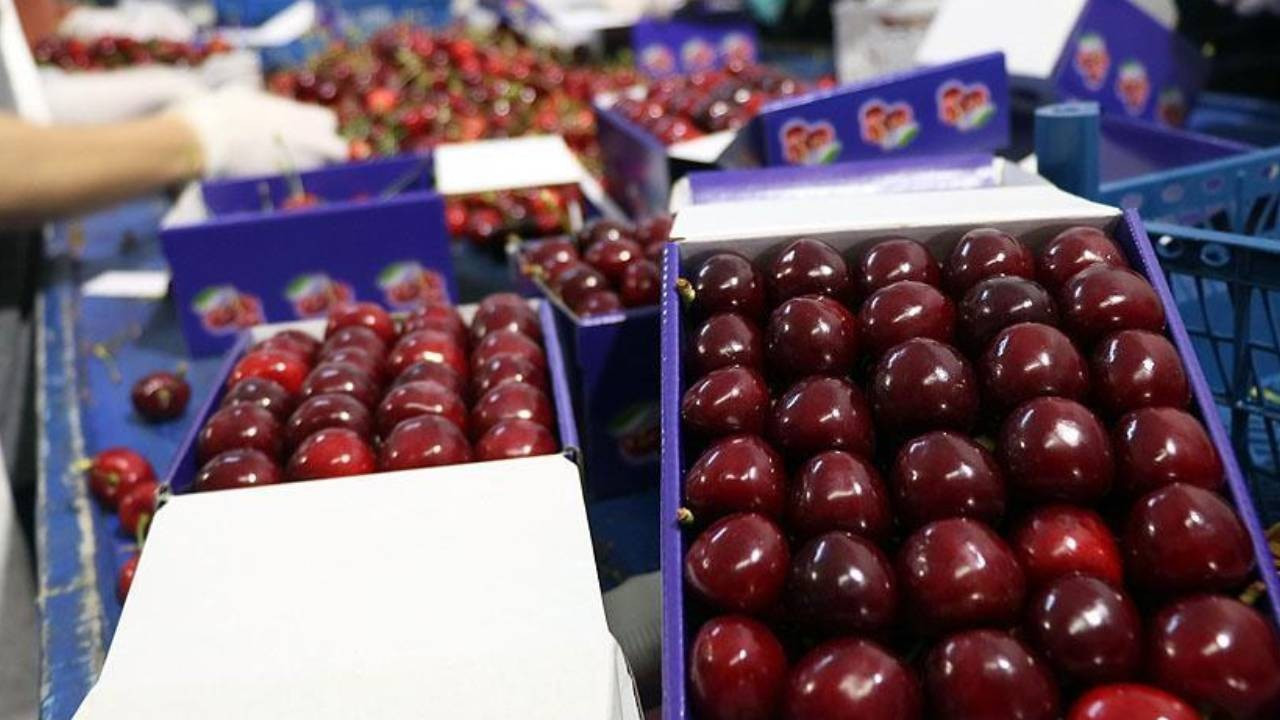 ZMO'dan çiftçiye acil destek çağrısı: Meyve ve sebze fiyatları uçacak, ihracat düşecek!