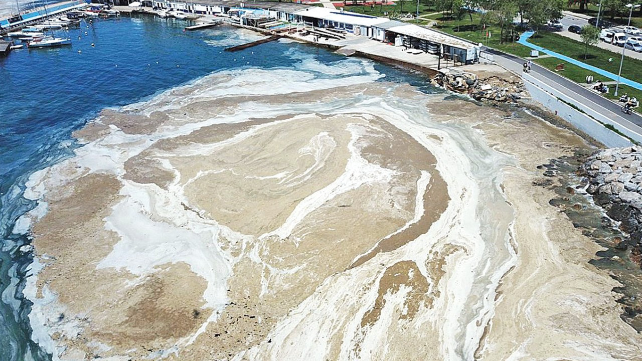 Müsilajla mücadele için arıtma tesisleri yaygınlaştırılmalı