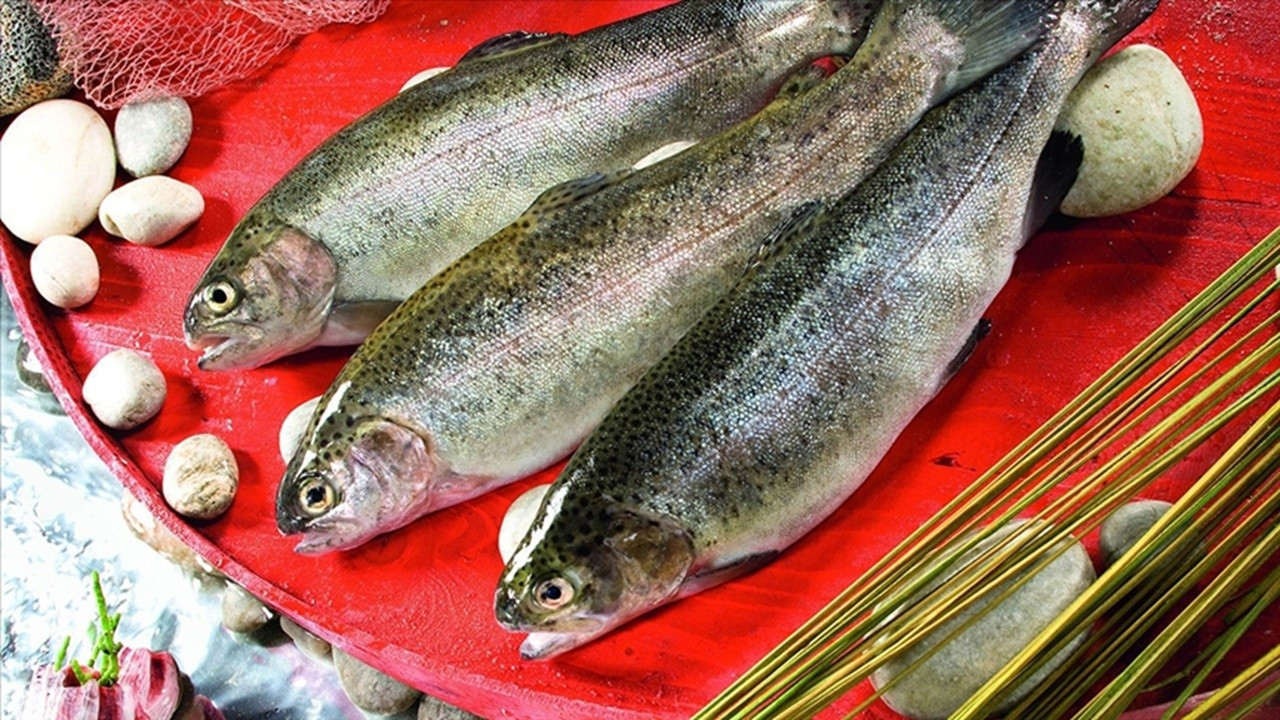 Türk somonundan 35,8 milyon dolarlık ihracat!