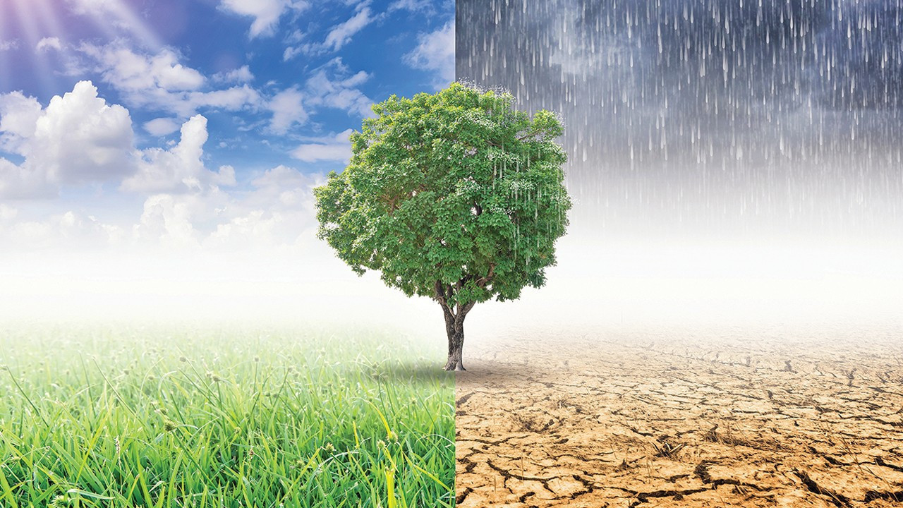 Almanya 2024 iklim hedefine "zayıf ekonomi" ile ulaştı