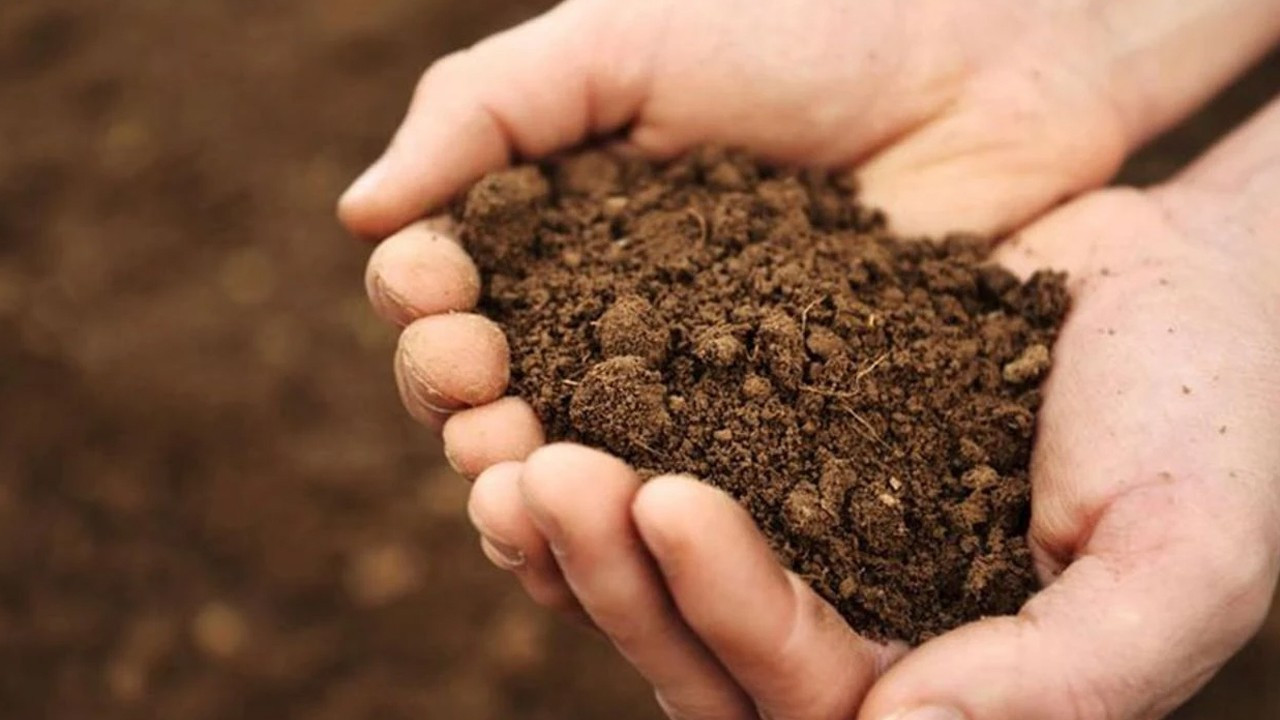 Ekolojik krize yerel çözüm