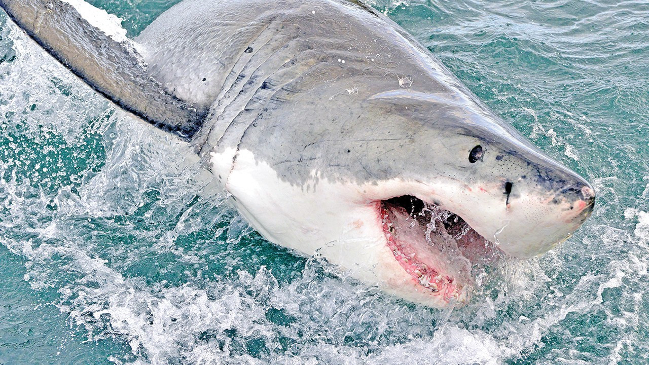 Tehdit ekranda yükseliyor