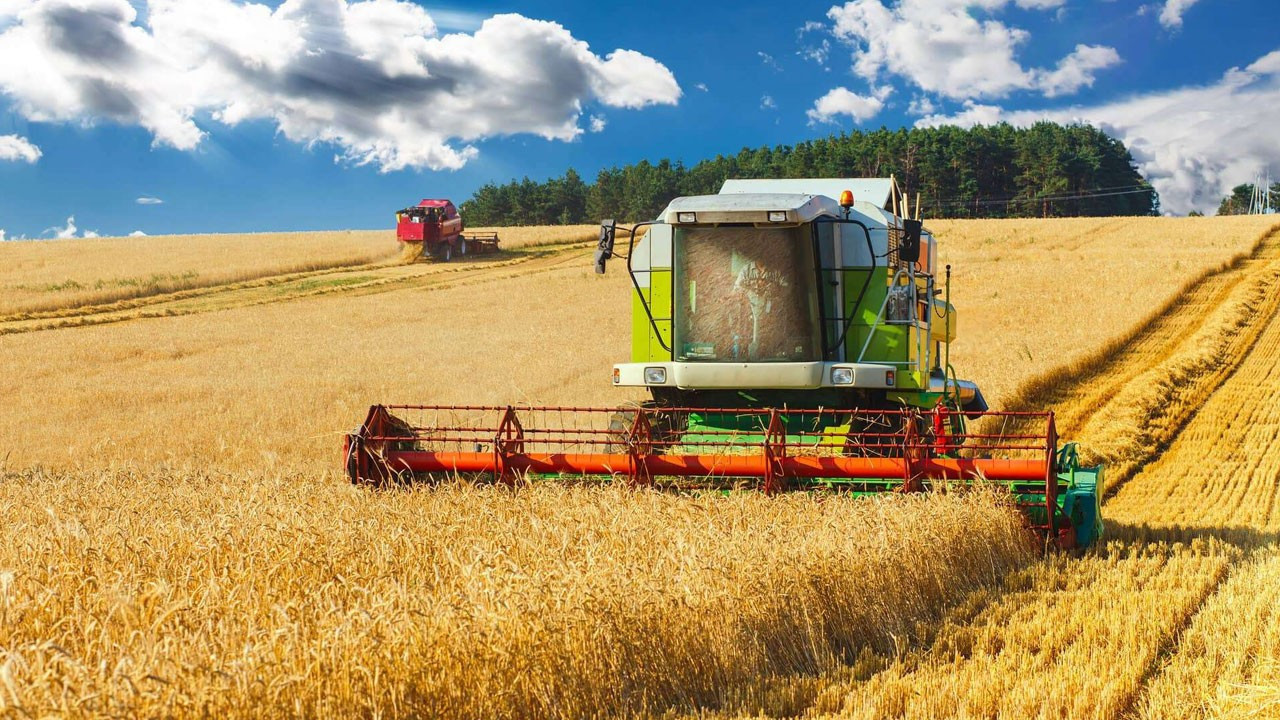 Rusya, 1 Temmuz’da başlayacak sezonda 45 milyon ton buğday ihraç etmeyi planlıyor Rusya, 1 Temmuz’da başlayacak sezonda 45 milyon ton buğday ihraç etmeyi planlıyor