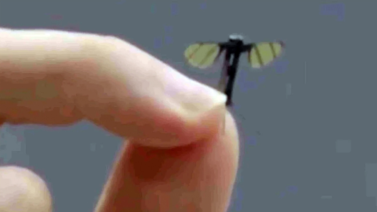 Çin geliştirdi: Sivrisinek boyutunda insansız hava aracı