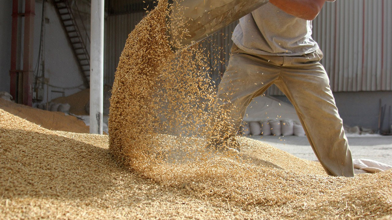 Ege’de gıda ihracatının yıldızı: Hububat, bakliyat ve yağlı tohumlar