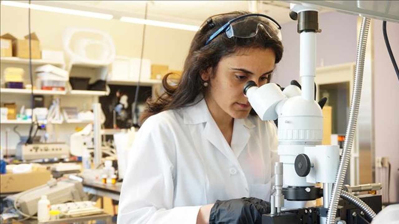 Son Dakika: Dünyanın tanıdığı Türk bilim insanı Canan Dağdeviren beyin kanaması geçirdi