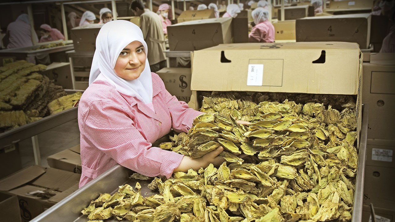 Tütün ihracatı 7 yıl sonra yeniden 1 milyar doları aştı