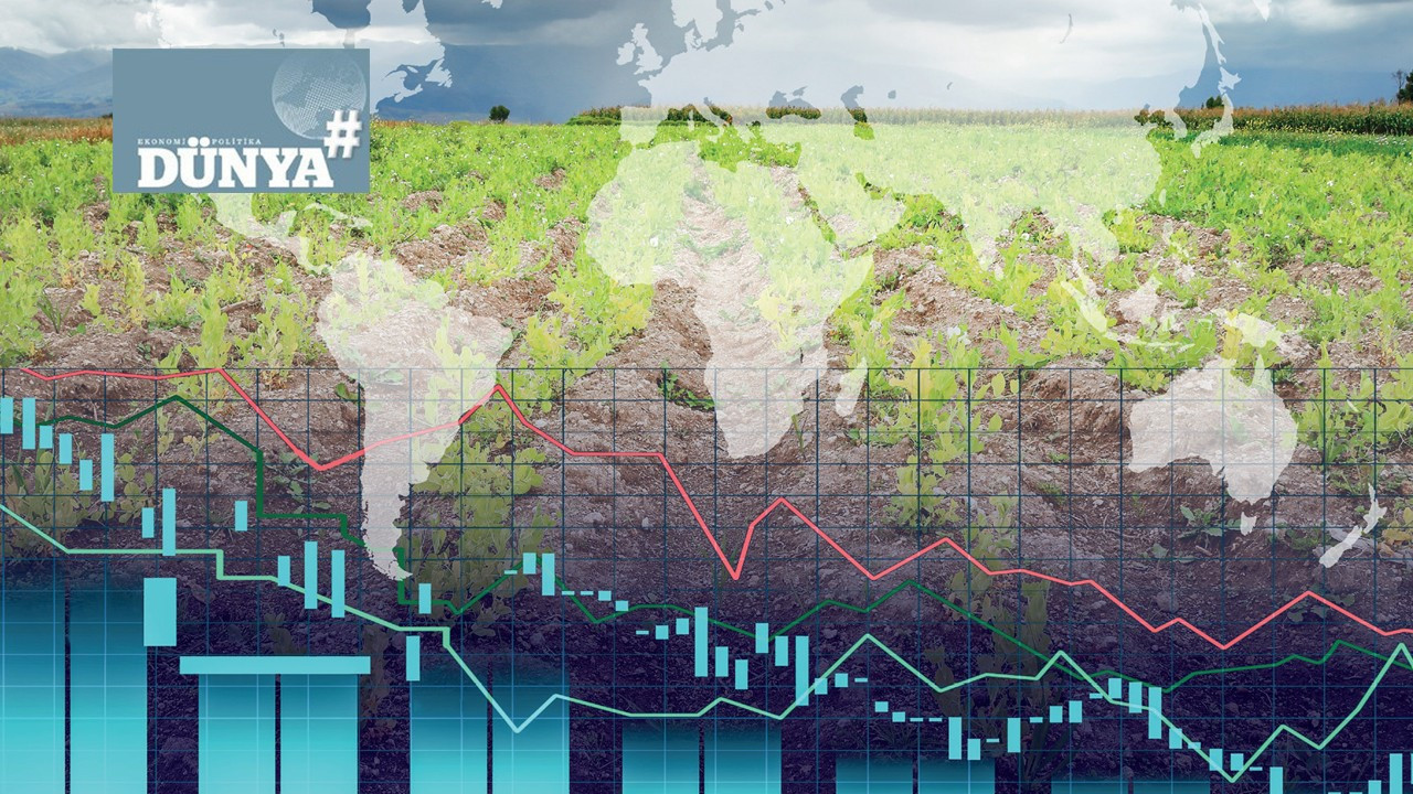 Kriz çağında tarım