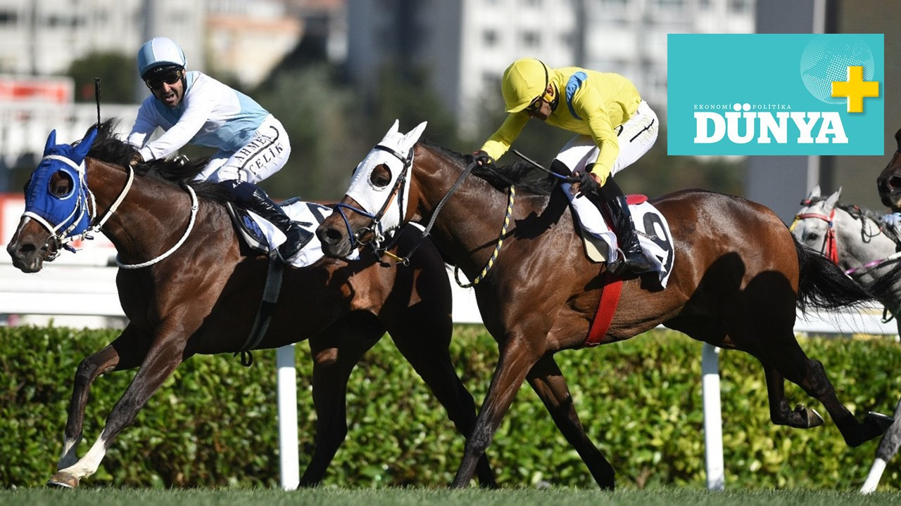 Ascot’ta da, Gazi’de de at koştu baht kazandı