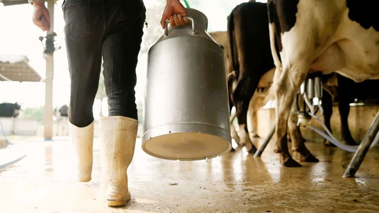 Ticaret Bakanlığı’ndan süt şirketlerine 58,3 milyon TL ceza