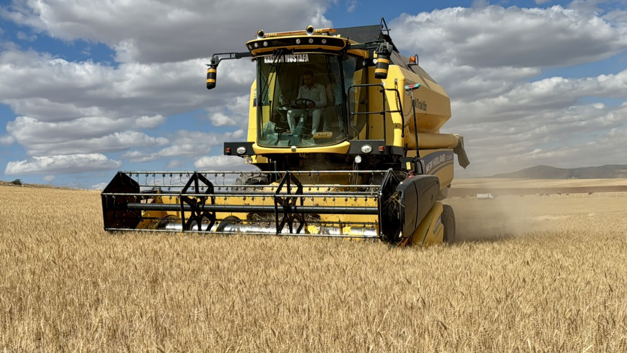 Doğru tohum seçimi kuraklıkta verim kaybını önlüyor