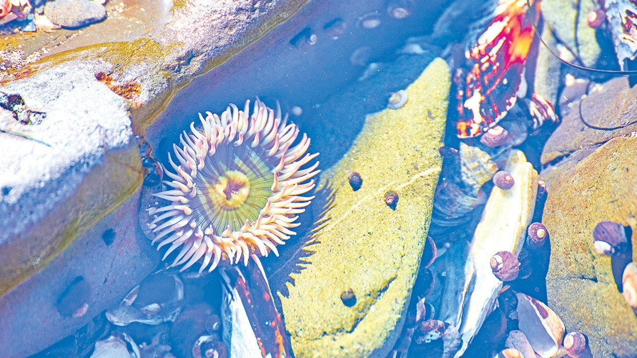 Doğru tahminler kaçırılan tehditler