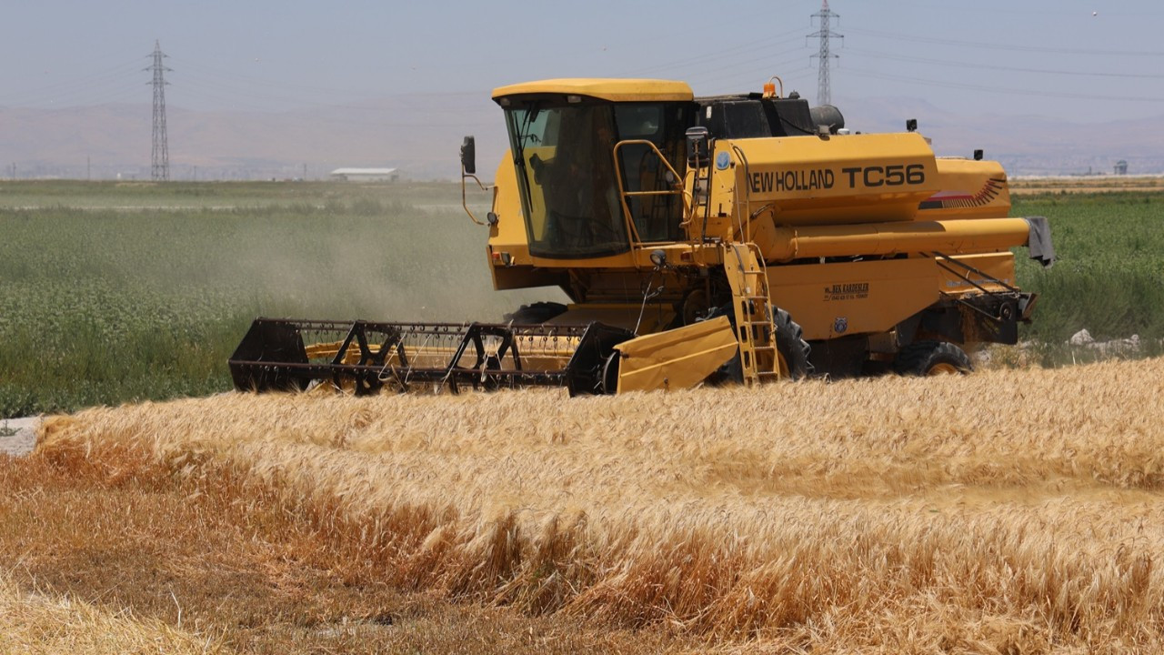 Türkiye'nin 'tahıl ambarı'nda tarlalar boş kaldı: Konya Ovası’nda verim 100 kilonun altına düştü