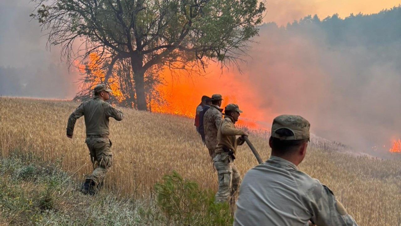 Tarım makineleri, ateş yakmak, ihmal… Orman yangınlarının sebepleri belli oldu: 4 kişi tutuklandı