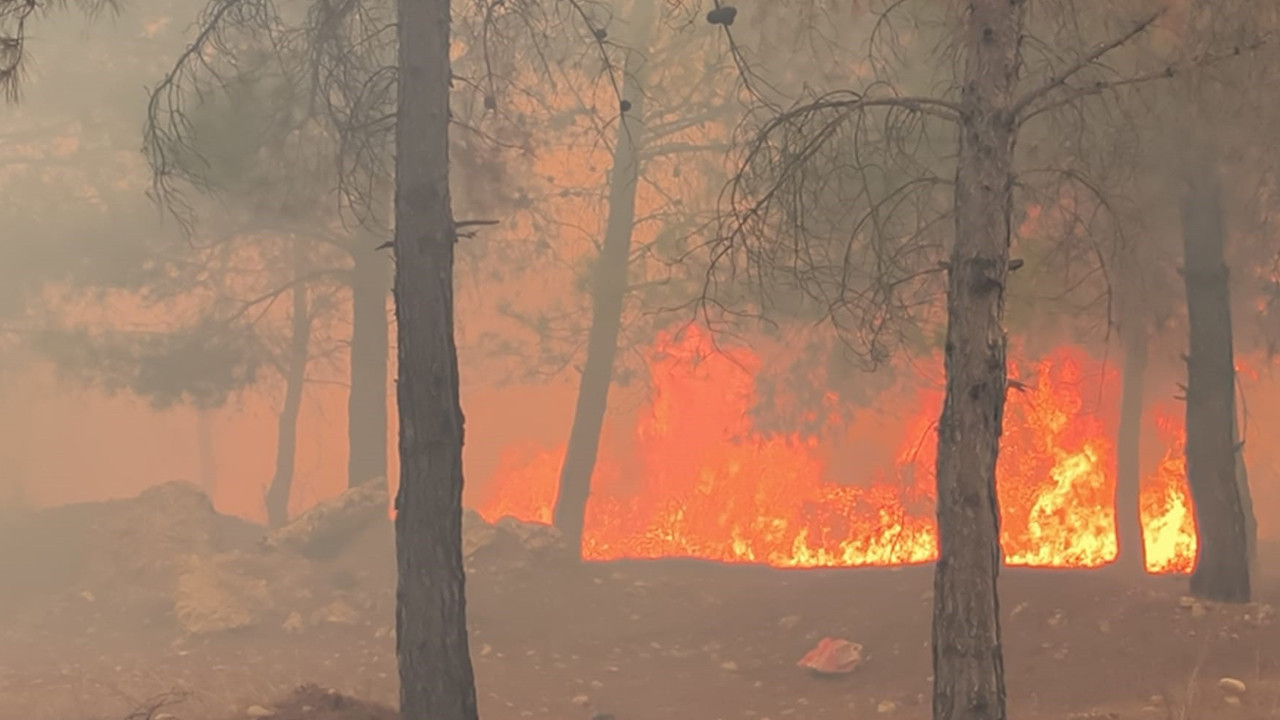 Antalya’da orman yangınları! 3 ilçe alev alev, ekipler müdahale ediyor.