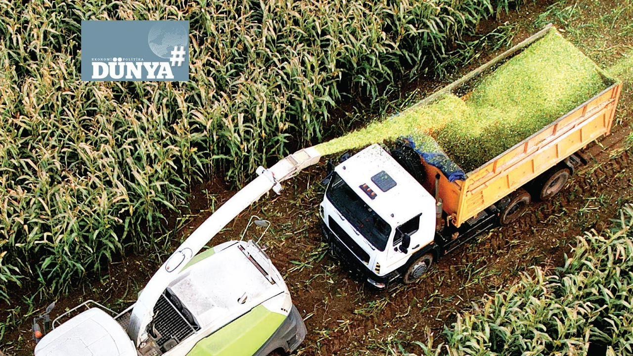 Dünyanın tarım üssü Brezilya