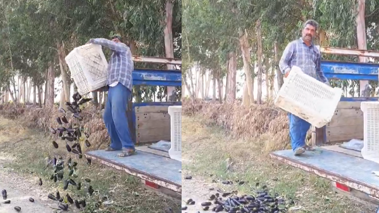 Ticaret Bakan Yardımcısı Mahmut Gürcan açıkladı: Patlıcanlarını yere döken vatandaşa 17,2 milyon TL'ye kadar ceza!