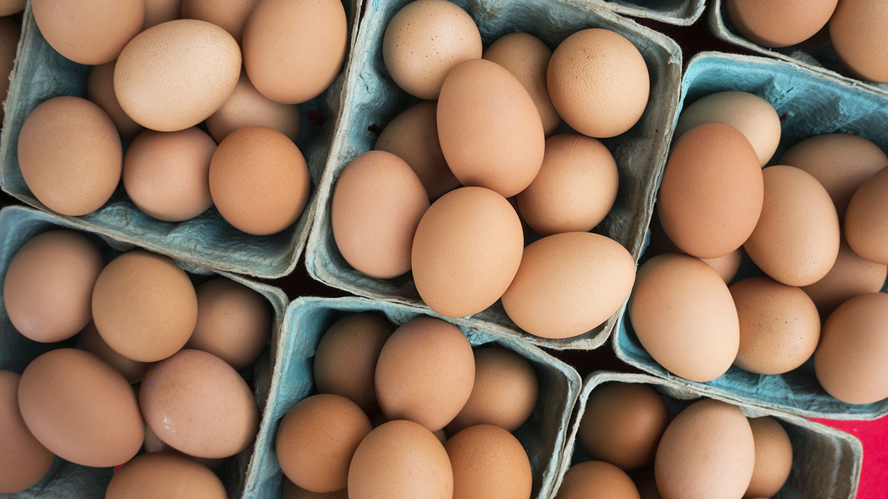 DFİF kesintisi kalktı, yumurta ihracatçısı rahatladı