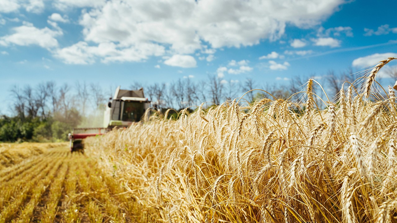 Hububat ihracatı miktardaki kaybı birim fiyatı artışıyla aşıyor