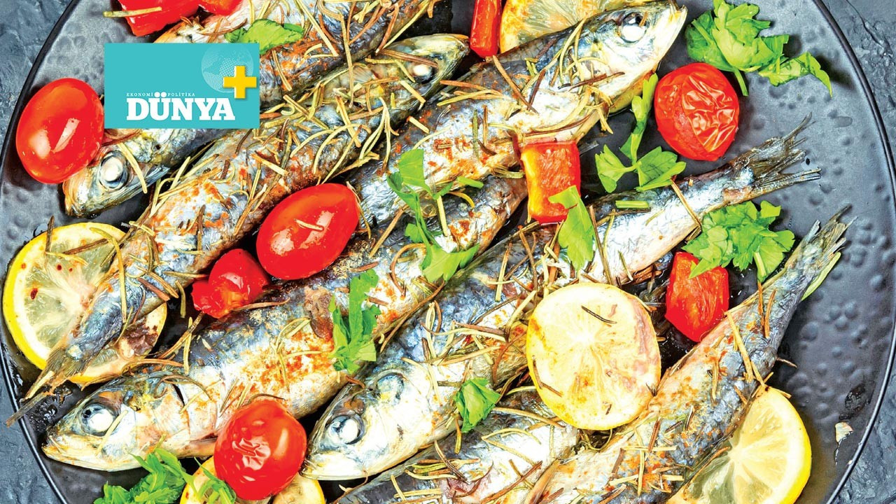 Sardalyanın peşinde: Kıyı kıyı Ege