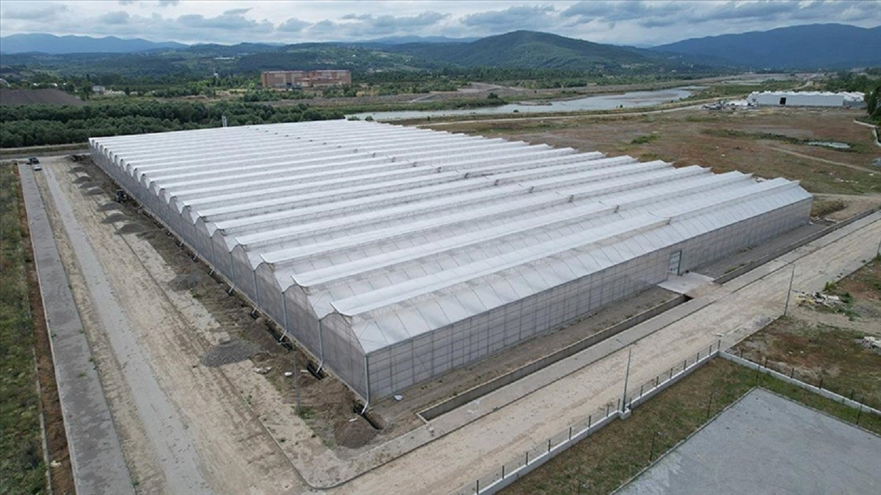 3 milyar TL'lik yatırım: Batman'a sera organize tarım bölgesi kuruluyor