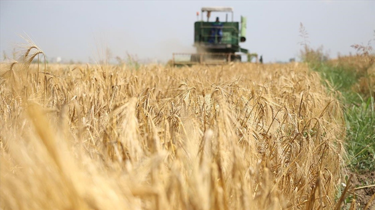 Boş araziler kasımda tarıma açılıyor