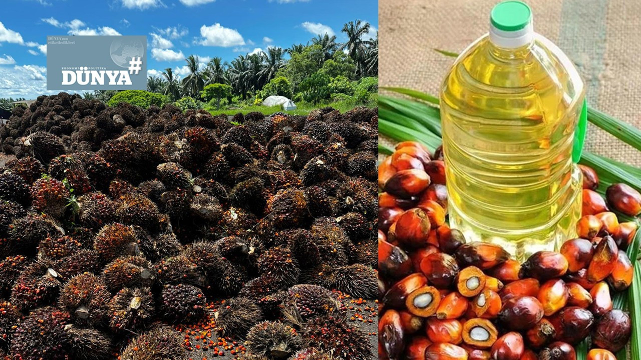 Malezya, ‘palm yağı’nda yeni bir kapı aralıyor