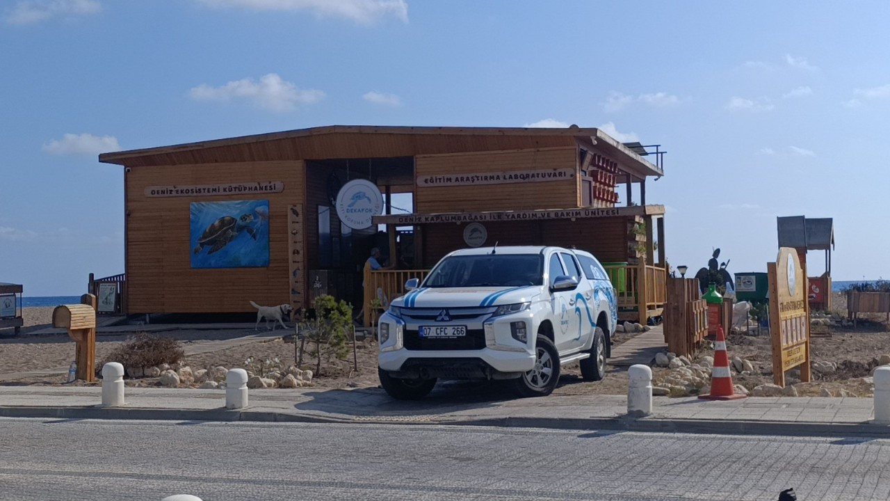 Türkiye’nin ilk 'deniz kaplumbağası ambulansı' görevde: DEKAFOK’tan deniz canlıları için özel ambulans