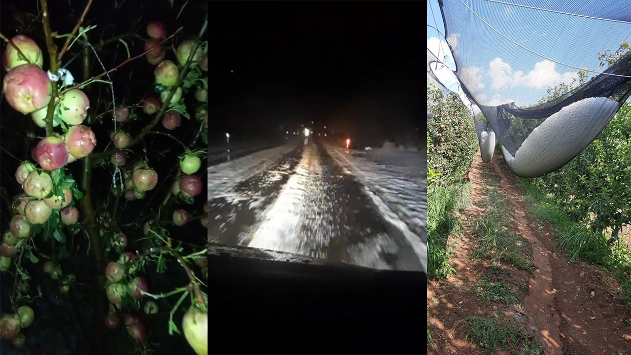 Isparta'da dolu felaketi: Bir gecede 4 bin 200 ton elma yok oldu, zarar 170 milyon TL!