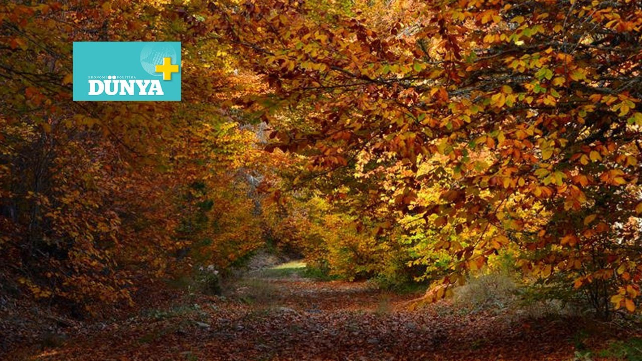 "Yazın bittiği her yerde söylenir"