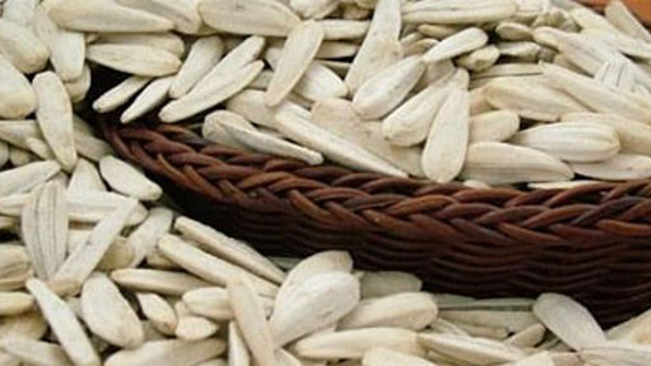 Tescilli 'İnegöl alası'nda hasat zamanı