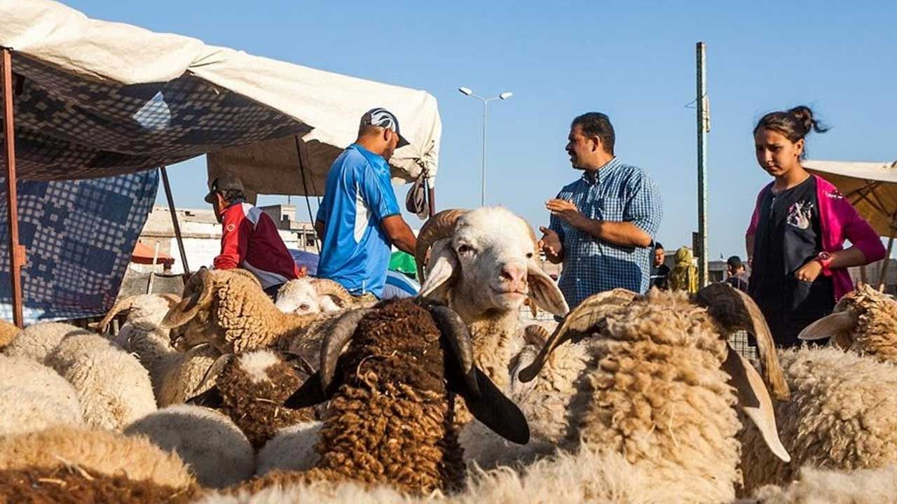 2025 KURBAN BAYRAMI TARİHLERİ: 2025 Kurban Bayramı ne zaman, ayın kaçında? Kurban Bayramı tatili 9 gün mü olacak? - Resim: 2