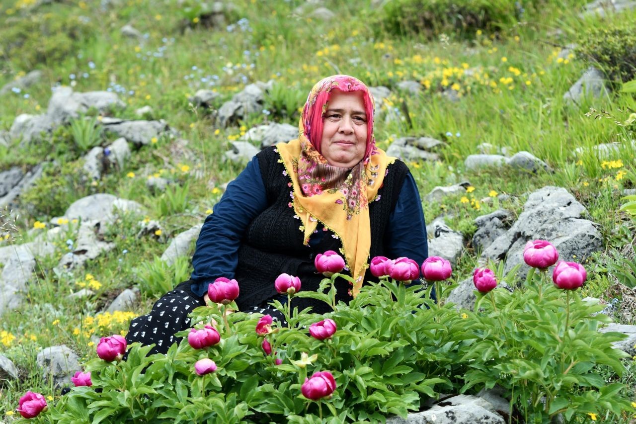 Yılda sadece 10 gün açıyor, zarar veren yanıyor: Bu çiçeği koparmanın cezası yarım milyon TL'den fazla! - Resim: 2