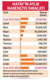 Hatay’da limonlar dalda kaldı - Resim : 1