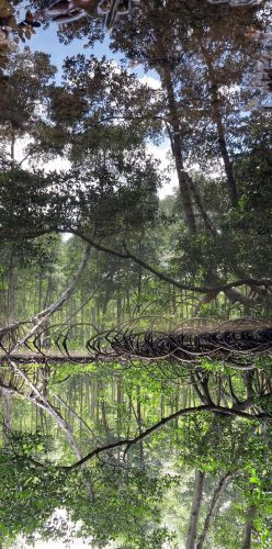 Beş yıldızlı "Survivor" heyecanı - Resim: 19