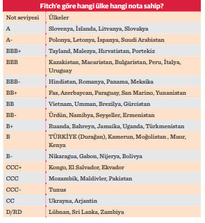 Gözler Fitch’in not kararına çevrildi - Resim : 1
