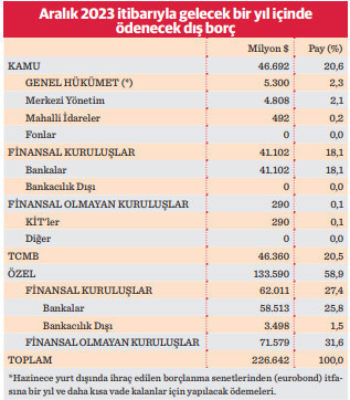 En fazla kur riski özel sektörün - Resim : 1