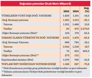Türk sermayesinin yatırımda gözdesi üç ülke - Resim : 1