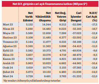 Türk sermayesinin yatırımda gözdesi üç ülke - Resim : 2