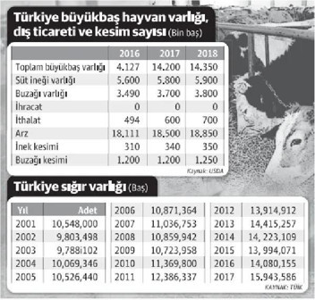 "Türkiye, hayvancılıkta ithalatla büyüyecek" - Resim : 1