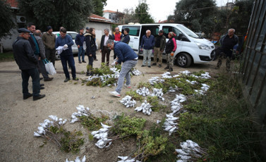 Gökçeada'da tarımsal ürün çeşitliliği artırılıyor - Resim : 1