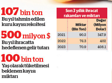 Kayısıda ihracat hedefi 500 milyon dolar’ı yakalamak - Resim : 1